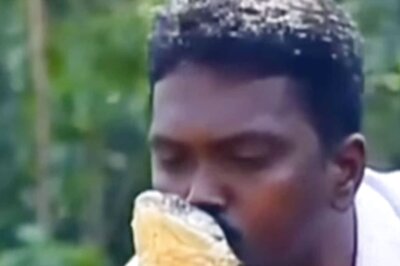 WATCH: Man Kisses King Cobra on Forehead, Internet Petrified