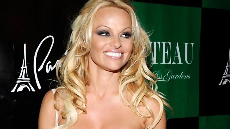 Pamela Anderson on brief celibacy