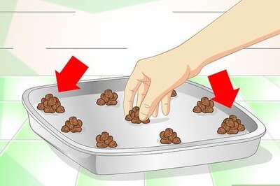 How to Slow Down a Cat Who Eats Too Fast