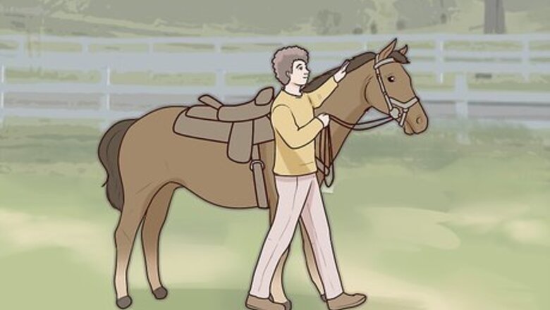 How to Get Your Horse to Stand Still for Mounting