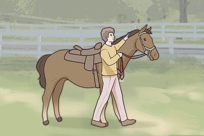 How to Get Your Horse to Stand Still for Mounting