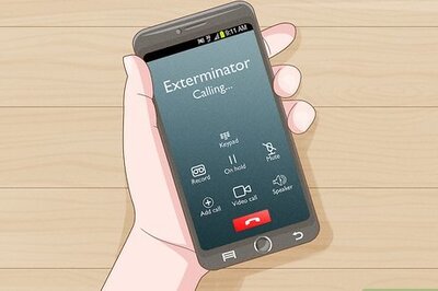 Wasp Problem? How to Identify, Get Rid of, and Prevent Wasp Nests