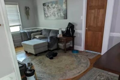 Spot A Cat In This Picture Of A Living Room In 9 Seconds, No Hint