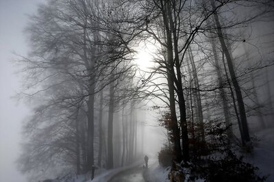 Yoga Instructor Lost in Hawaii Forest Found Alive After 17 Days