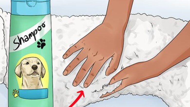 How to Do a Town and Country Poodle Cut