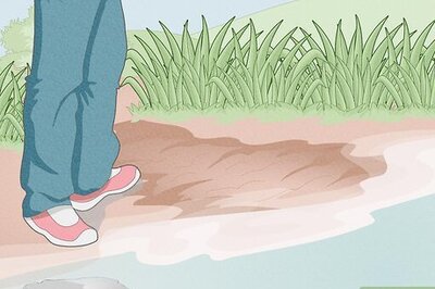 How to Measure Organic Matter in Water