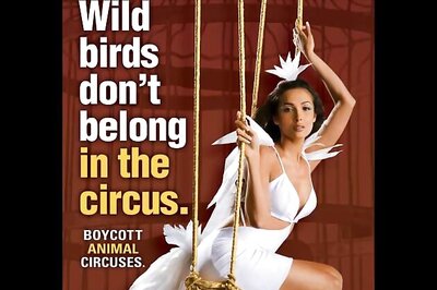 Malaika Arora Khan poses for PeTA