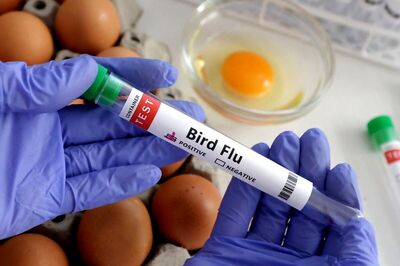 Bird Flu: Causes, Symptoms, Prevention