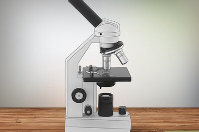 How to Know if You Have Dust Mites