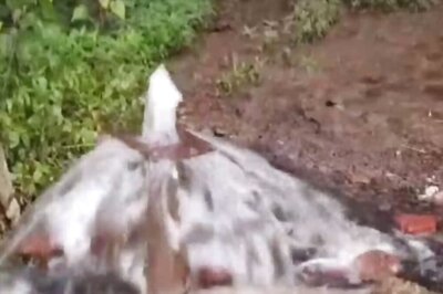 Borewell In MP's Sagar Becomes A Local Attraction As Water Flows Without Pump