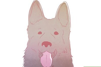 How to Live in a Haunted House