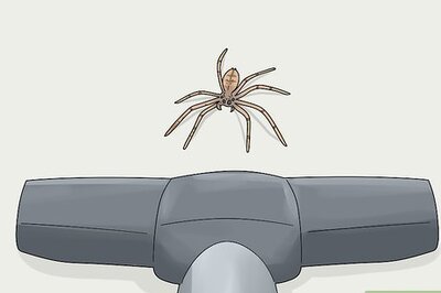 How to Kill Spiders from a Distance