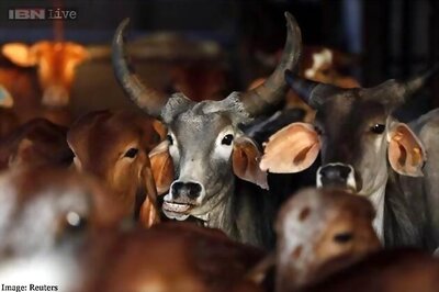 3 arrested for possession of beef in Maharashtra