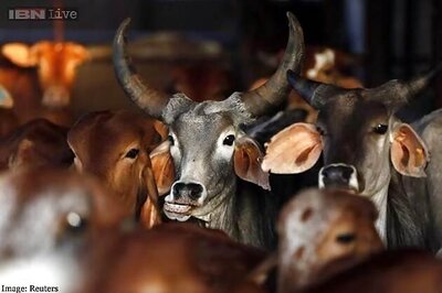 India's push to save its cows starves Bangladesh of beef