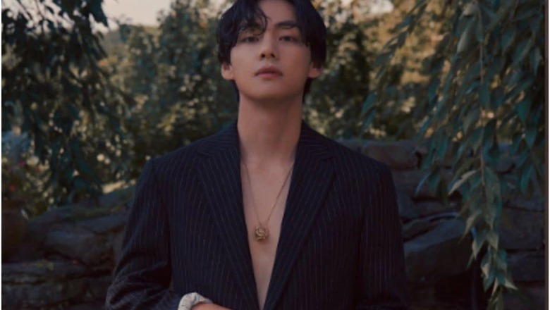 BTS: Kim Taehyung Asks ARMYs to Be Safe, Urges Not To Push Others During Group's Busan Concert