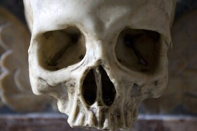 Human skulls tumble out of clerk's office cupboard