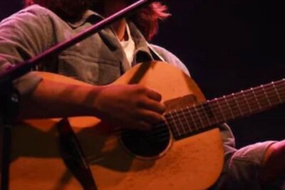 Artist Banned Over Viral Stray Animal Anthem In Russia