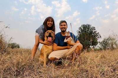 International Dog Day: Travel Outdoors With Your Furry Friend