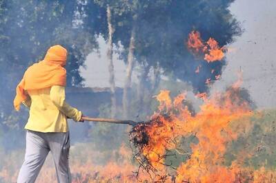 Farm Fires Down by 27% in Punjab, 37% in Haryana Compared to Last Year: Environment Ministry