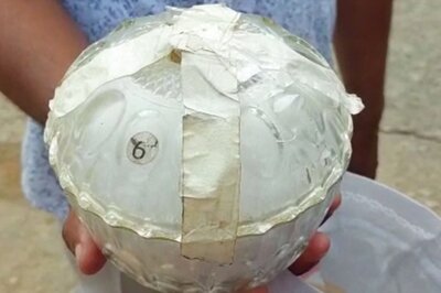 Odisha Police Seize Snake Venom Worth Over Rs 1 Crore