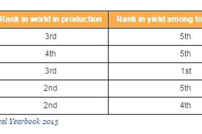 Farmed land drops over 25 years in India, so does food per person