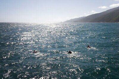 Venezuelans brave open sea on tubes, fishing for survival