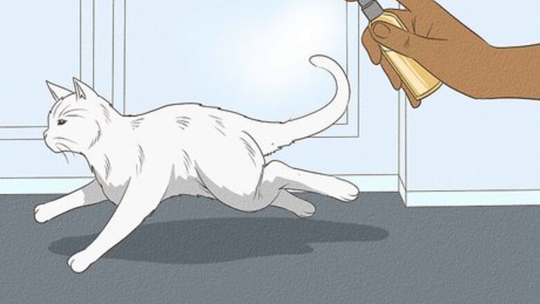 How to Keep Cats Out of the House