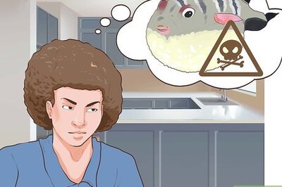 How to Eat Fugu Sashimi