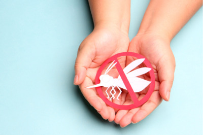 National Dengue Day 2023: Lifestyle Tips for Dengue Prevention