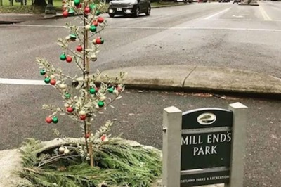 The World's Smallest Park Is In The US; Can You Guess The Name?