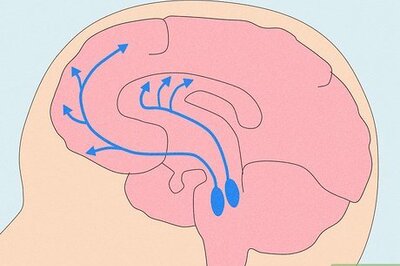 What Is Dopamine? Dopamine's Effects & Ways to Increase Dopamine Levels
