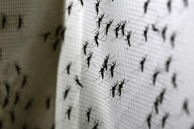 Neurotoxin Used to Eradicate Mosquitoes May Have Caused Diplomats' Illness in Cuba