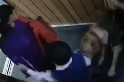 Pet Dog Attacking Schoolboy in Greater Noida Housing Society Lift Sparks Outrage