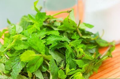 How to Make Traditional Mint Sauce