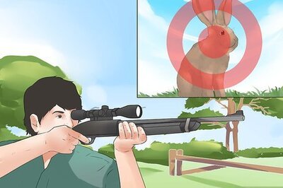 How to Eat Wild Rabbit