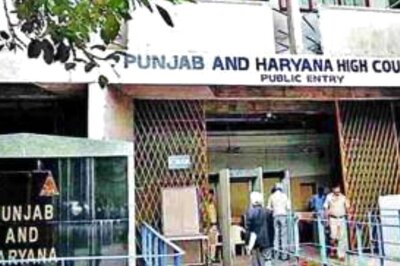 News18 Afternoon Digest: Child Marriage Valid if Minor Doesn't Declare it Void at 18, Rules Punjab and Haryana HC; IPL 2021 Broadcast Banned in Afghanistan & Other Stories