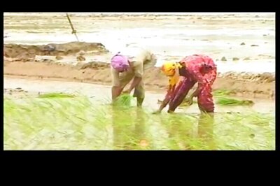 Madras HC directive to Centre on crop insurance scheme