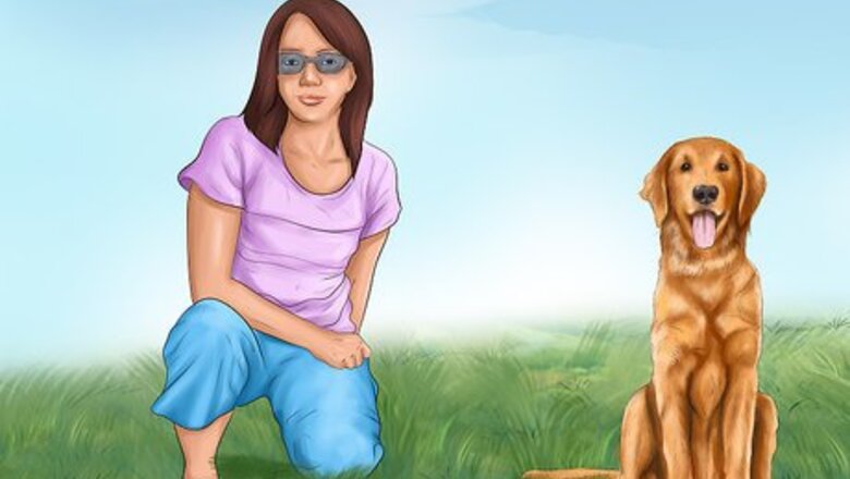 How to Build a Relationship With a Dog