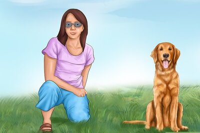 How to Build a Relationship With a Dog