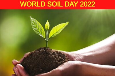 World Soil Day 2022: Why is Soil Conservation Important?