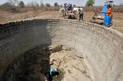 Acute Water Shortage Forces Andhra Farmers to Sell Cattle