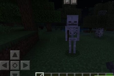 How to Get a Dog in Minecraft