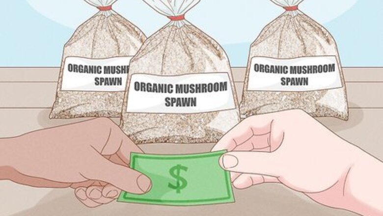 How to Grow Organic Mushrooms