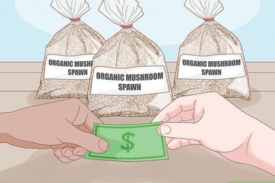 How to Grow Organic Mushrooms