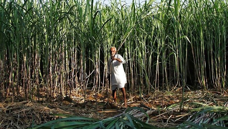 Govt May Relax Restrictions on Organic Agri Product Exports