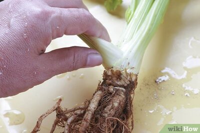 How to Make Fish in the River