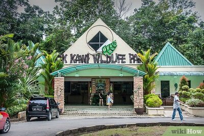 How to Take Great Zoo Photographs