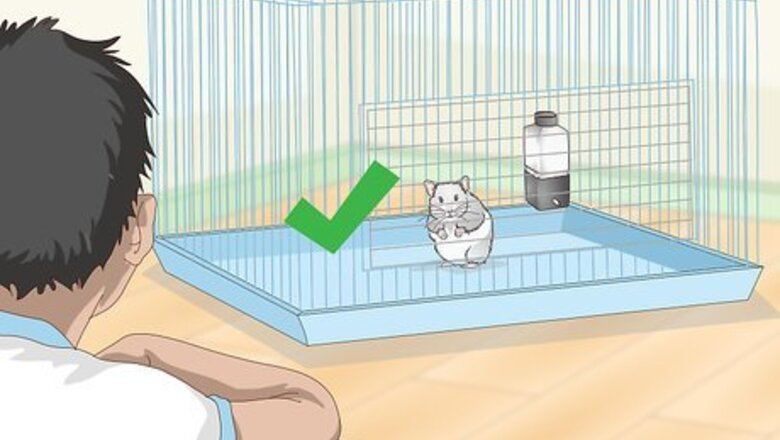 How to Train a Hamster to Run Through Tunnels