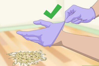 How to Clean Vomit from Wood Floors