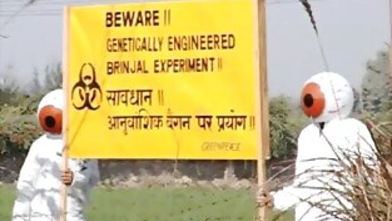 GEAC nod to commercial release of Bt brinjal
